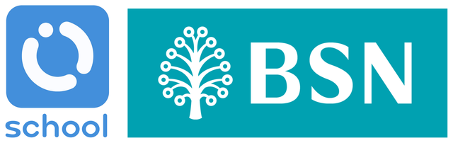 BSN Orijin School